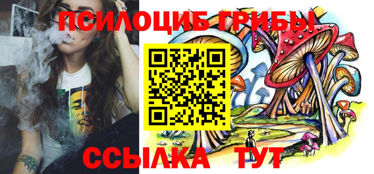 Галлюциногенные грибы мухоморы  Галлюциногенные грибы Psilocybe  Вход с VPN  Кандалакша 