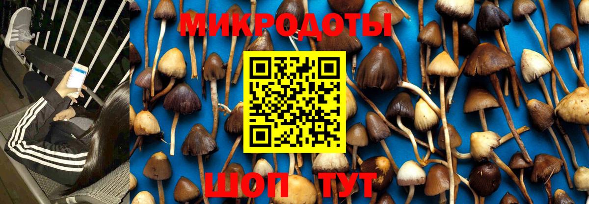 Псилоцибиновые грибы GOLDEN TEACHER Кандалакша