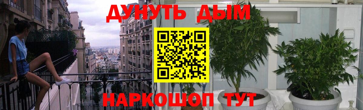 Альфа ПВП Кандалакша